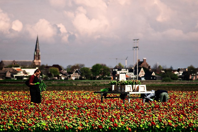 Hình ảnh minh họa ý nghĩa của từ recruiter