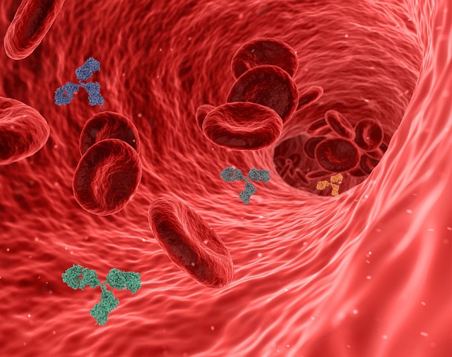 red blood cell count