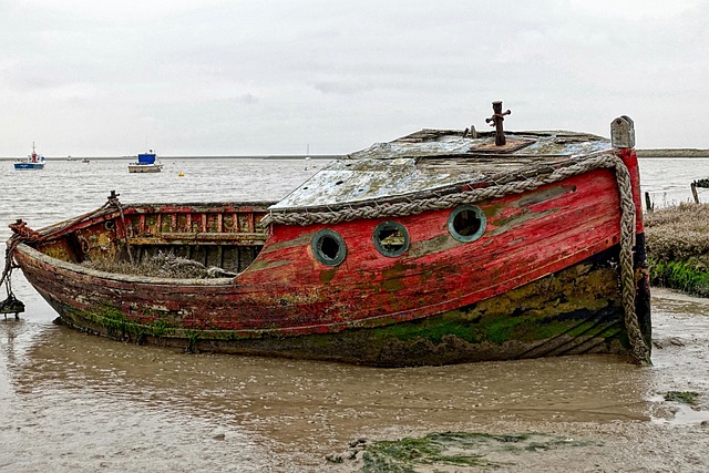 red tide