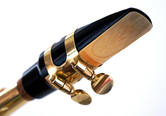 reed instrument