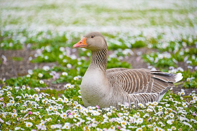 Hình ảnh minh họa ý nghĩa của từ refreshment
