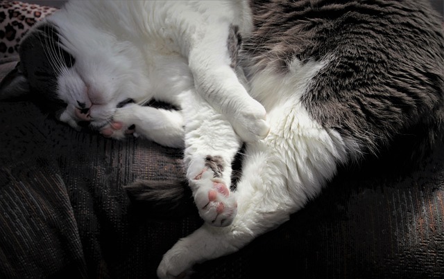 Hình ảnh minh họa ý nghĩa của từ regardless of