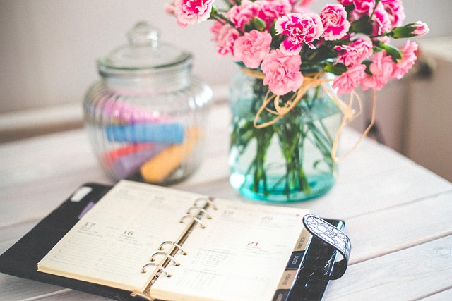 regional planner