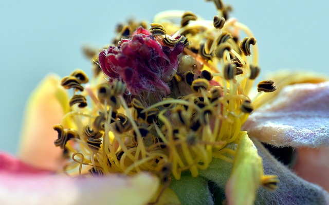 Hình ảnh minh họa ý nghĩa của từ regressive