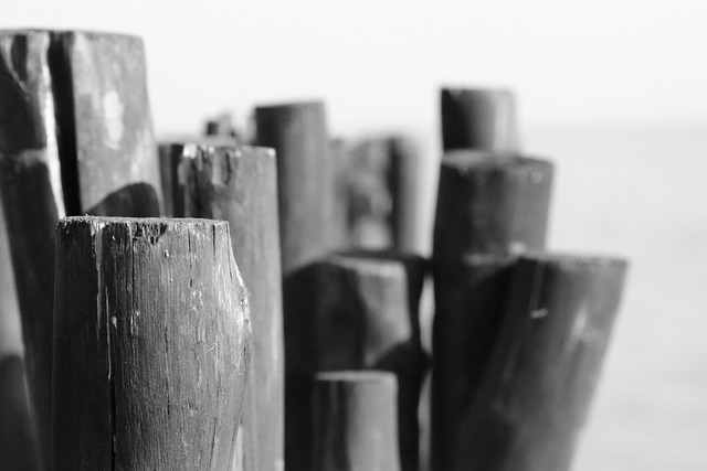 Hình ảnh minh họa ý nghĩa của từ regulatory compliance