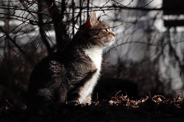 Hình ảnh minh họa ý nghĩa của từ released