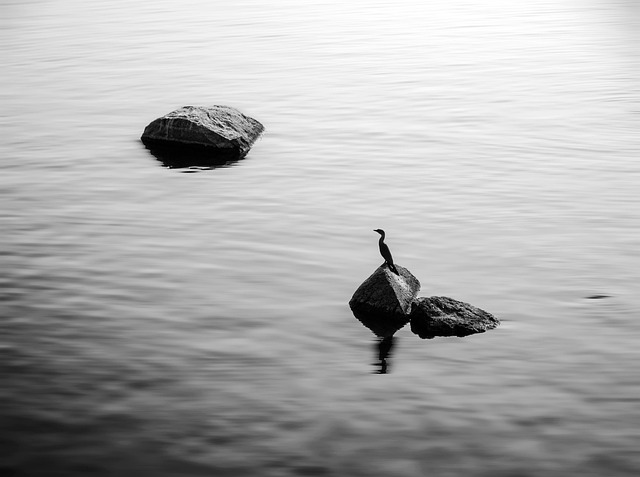 remain motionless