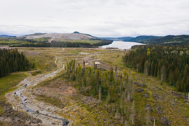 Hình ảnh minh họa ý nghĩa của từ remediation