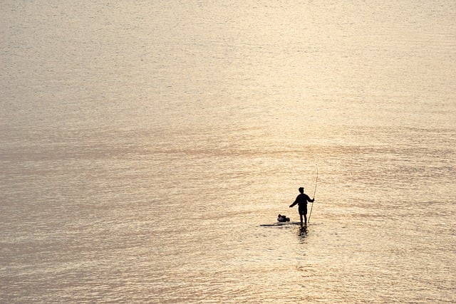 remote fishing