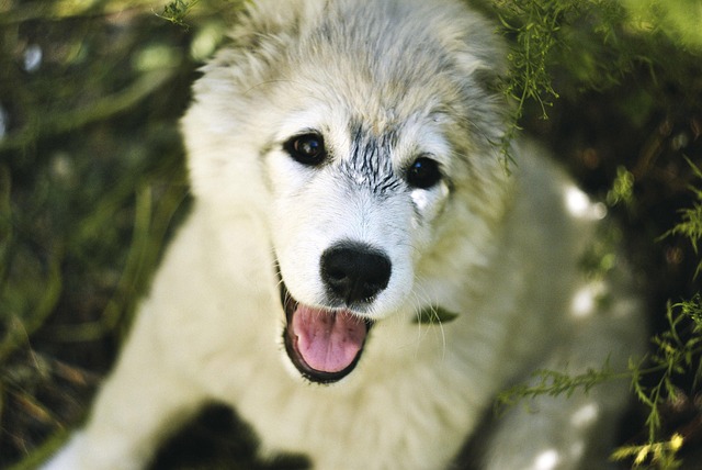 Hình ảnh minh họa ý nghĩa của từ removal