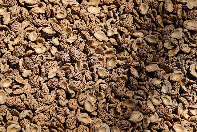 Hình ảnh minh họa ý nghĩa của từ repatriating