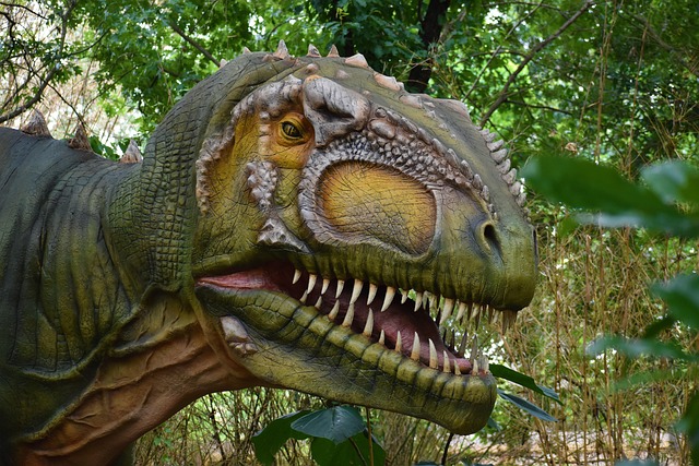 Hình ảnh minh họa ý nghĩa của từ replication