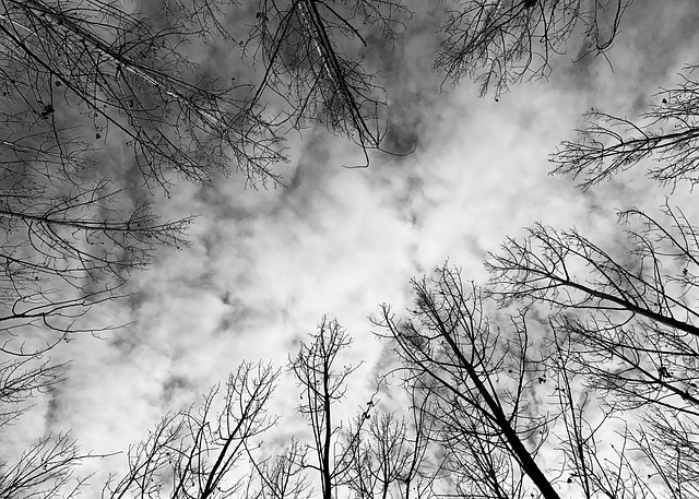 Hình ảnh minh họa ý nghĩa của từ repressive