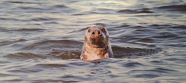 Hình ảnh minh họa ý nghĩa của từ reproval