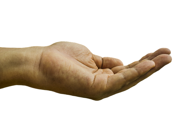 Hình ảnh minh họa ý nghĩa của từ requesting