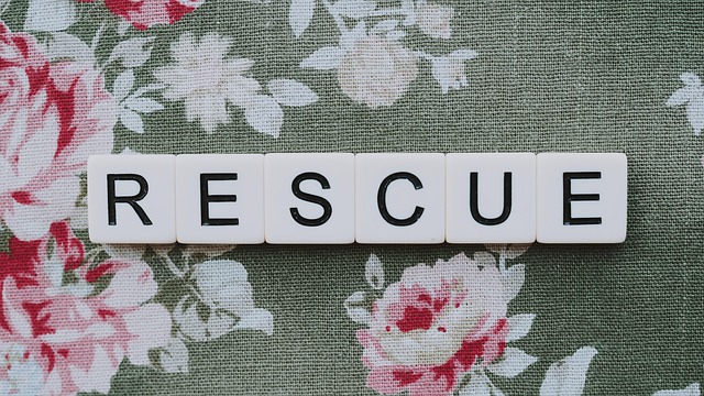 Hình ảnh minh họa ý nghĩa của từ rescued