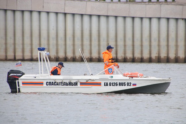 Hình ảnh minh họa ý nghĩa của từ rescuer