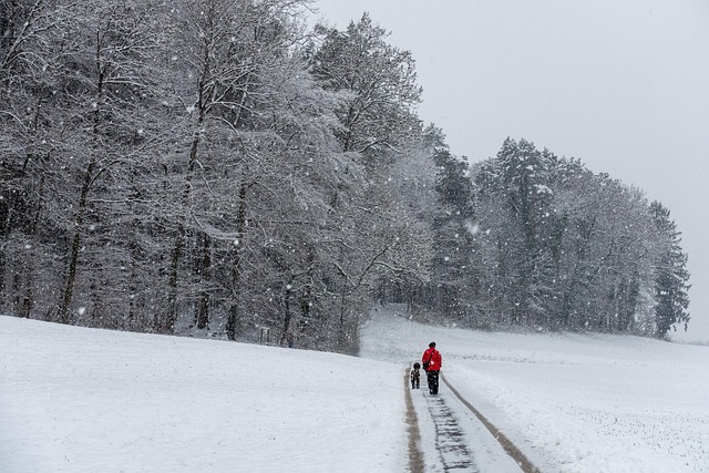 Hình ảnh minh họa ý nghĩa của từ reserved person