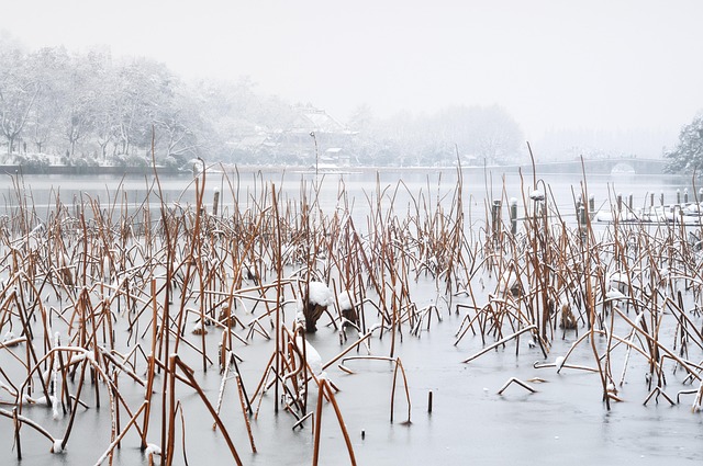 Hình ảnh minh họa ý nghĩa của từ residuals