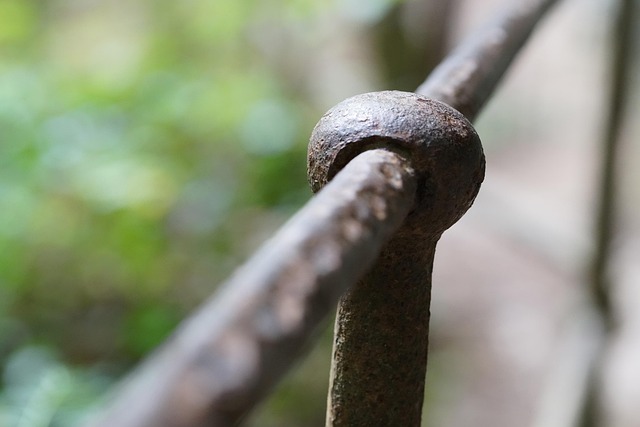 Hình ảnh minh họa ý nghĩa của từ resistant to