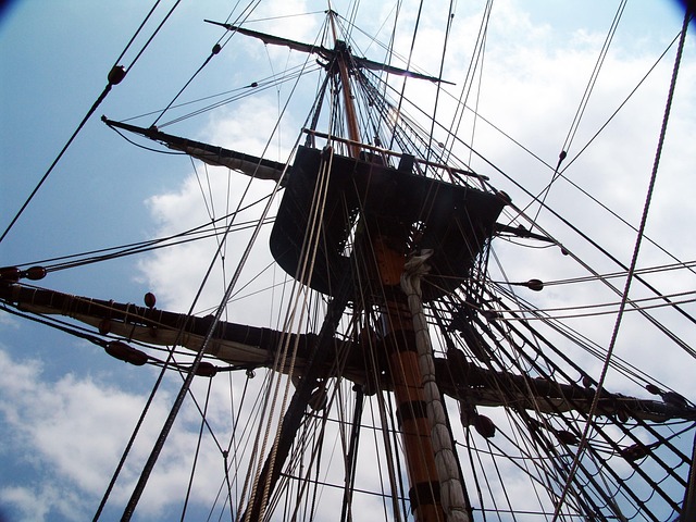 Hình ảnh minh họa ý nghĩa của từ resolute endeavor