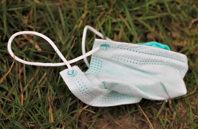 Hình ảnh minh họa ý nghĩa của từ respiratory system