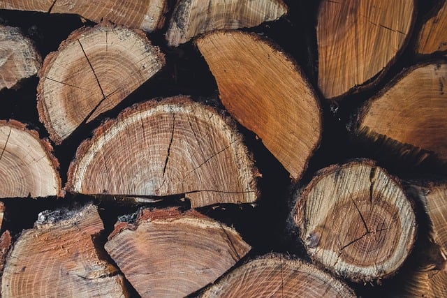 responsible forestry