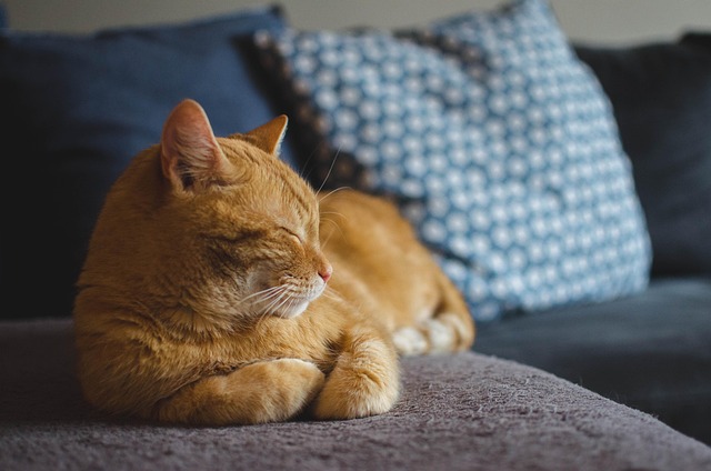 rest well