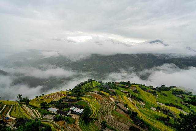 Hình minh họa teruggaan