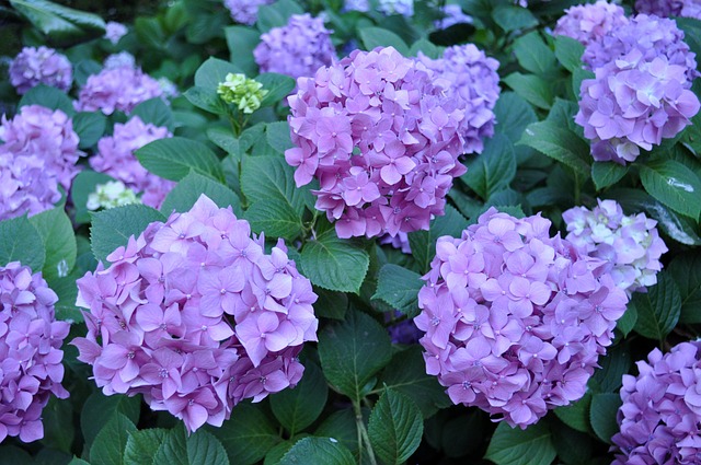 Hình ảnh minh họa ý nghĩa của từ retrospection