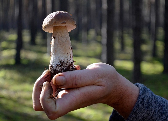 Hình ảnh minh họa ý nghĩa của từ revealing