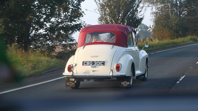 Hình ảnh minh họa ý nghĩa của từ revived