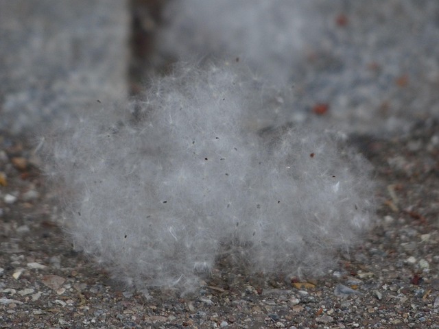 Hình ảnh minh họa ý nghĩa của từ rhinitis