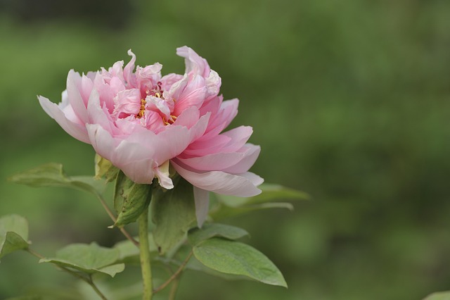 Hình ảnh minh họa ý nghĩa của từ riches