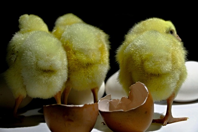 Hình ảnh minh họa ý nghĩa của từ ridiculous