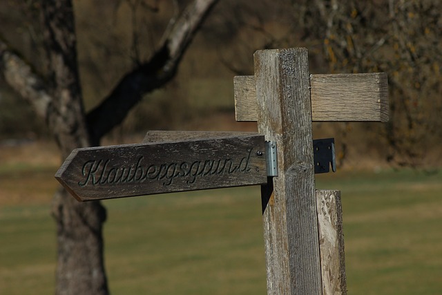 Hình ảnh minh họa ý nghĩa của từ right to life