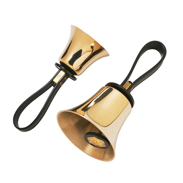 Hình ảnh minh họa ý nghĩa của từ ringing