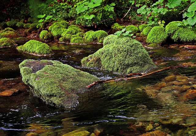 river bottom