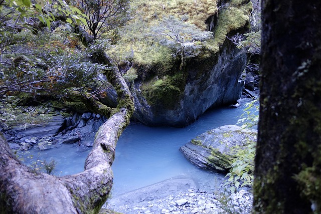 Hình ảnh minh họa ý nghĩa của từ rob