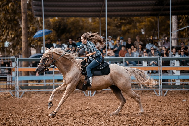 Hình ảnh minh họa ý nghĩa của từ rodeo