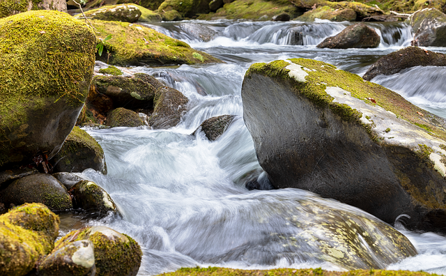 Hình ảnh minh họa ý nghĩa của từ roiled
