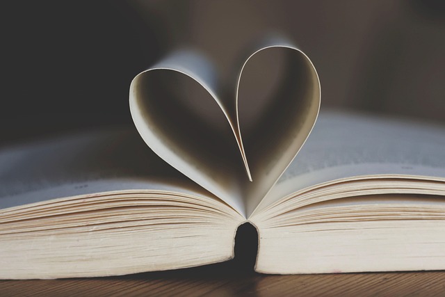 romance novel