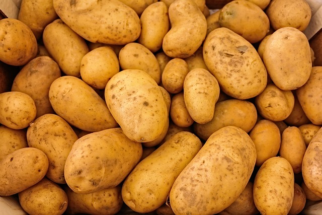 root vegetable