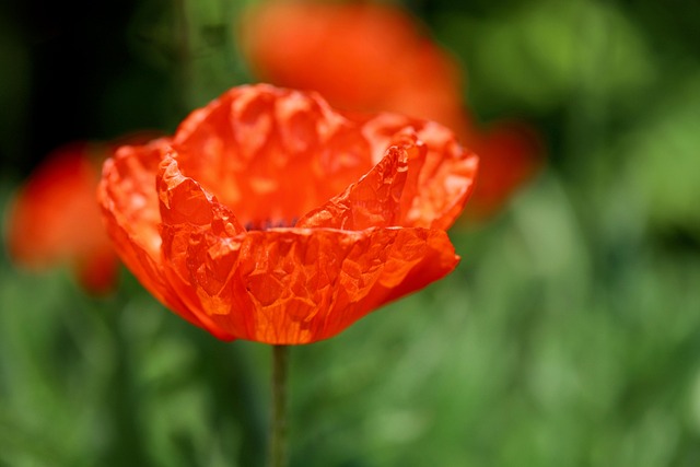 Hình ảnh minh họa ý nghĩa của từ rote learning