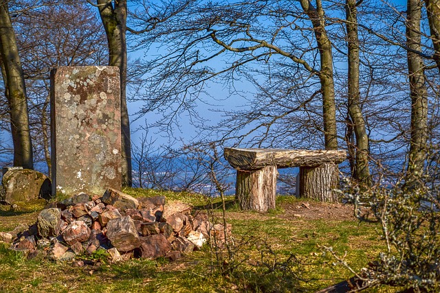 Hình ảnh minh họa ý nghĩa của từ roth ira