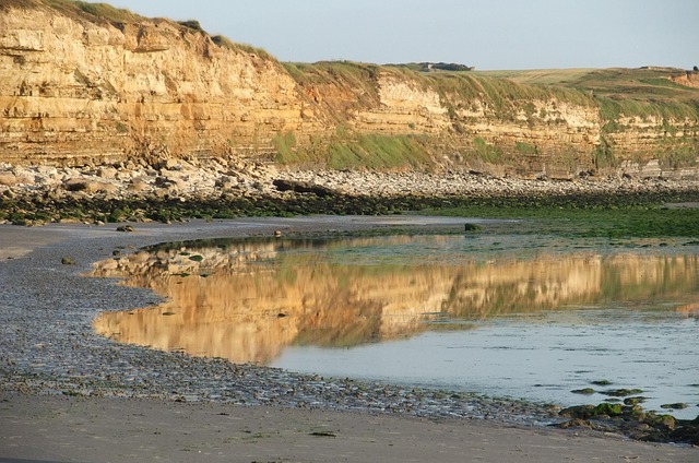 Hình ảnh minh họa ý nghĩa của từ roundness