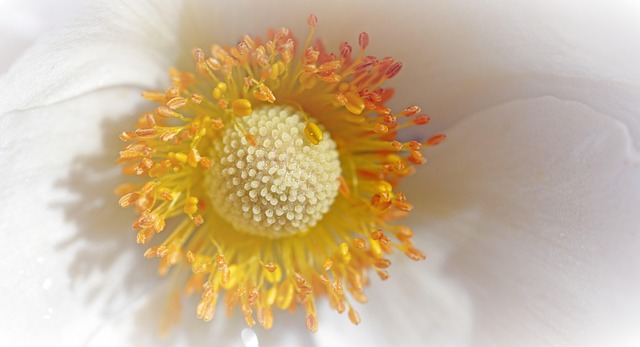 Hình ảnh minh họa ý nghĩa của từ rubber bullets