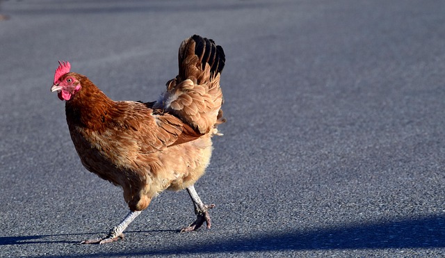 running away