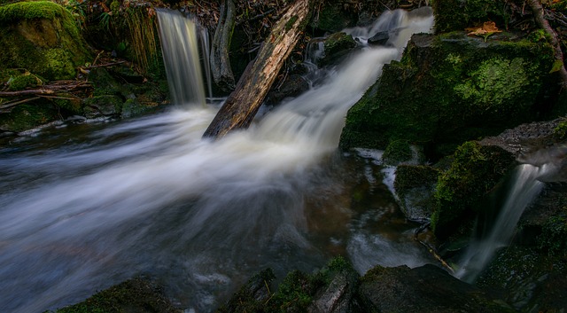 Hình ảnh minh họa ý nghĩa của từ runny