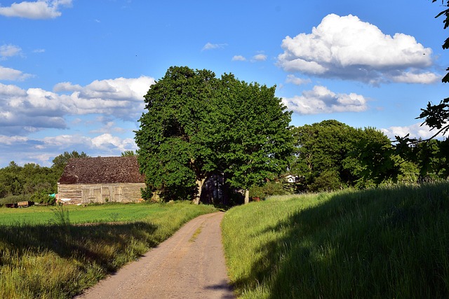 Hình ảnh minh họa ý nghĩa của từ rural development